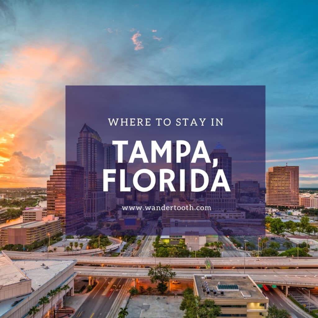 Where to Stay in Tampa, Florida - Wandertooth Travel