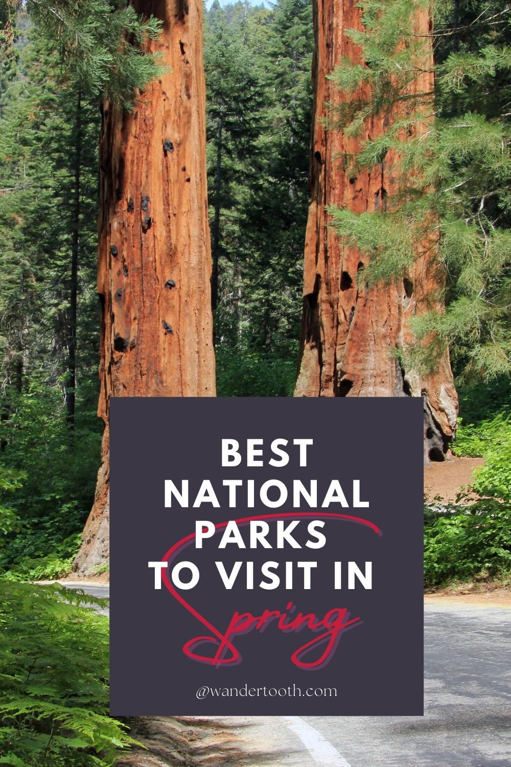 Best National Parks To Visit In Spring - Wandertooth Travel