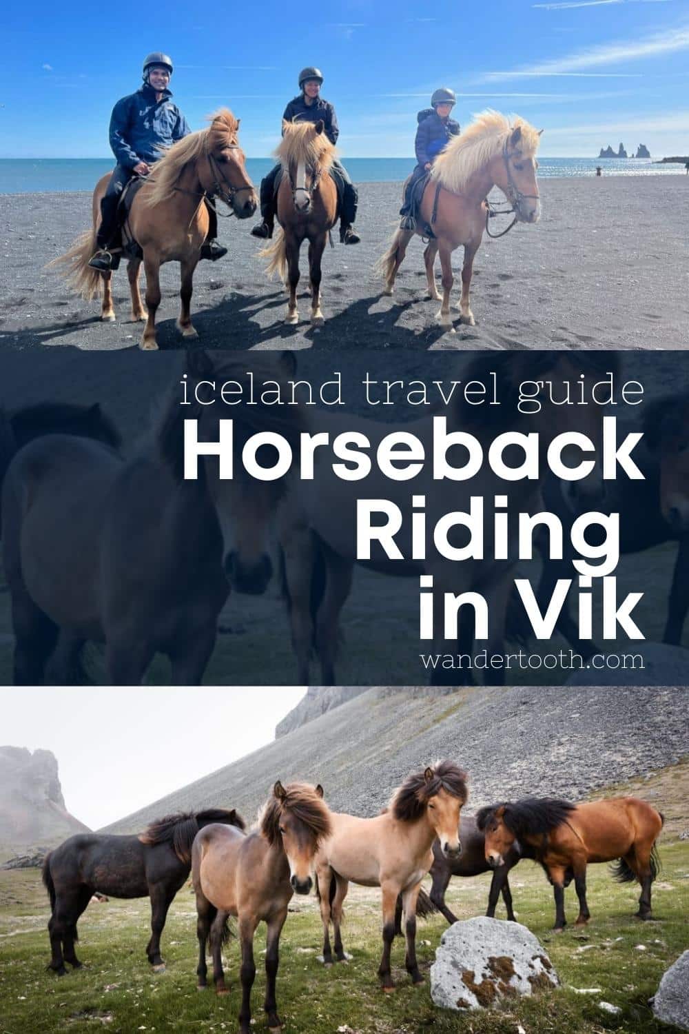 Horseback Riding in Vik, Iceland (with Vik Horse Adventures