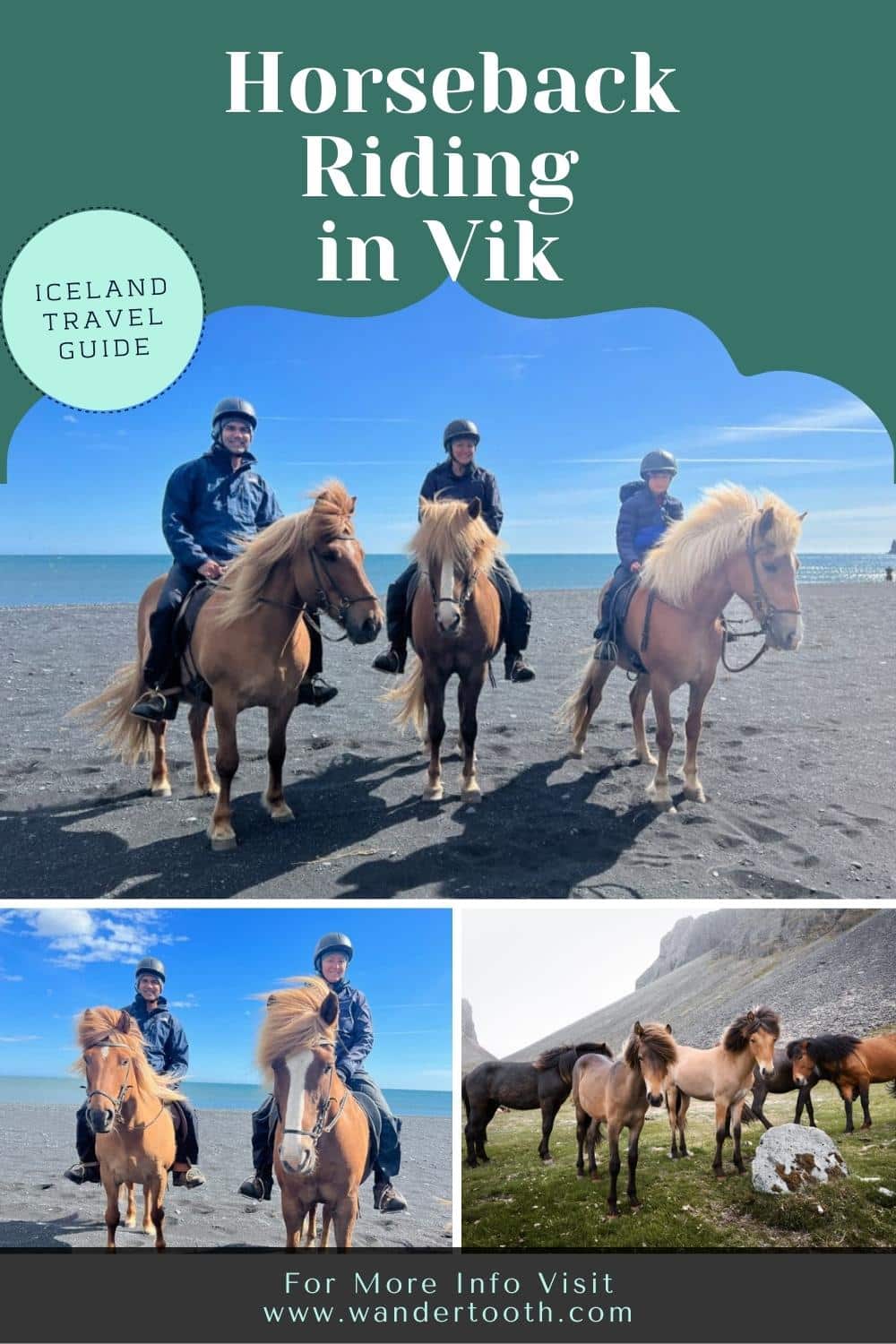 vik horse tour