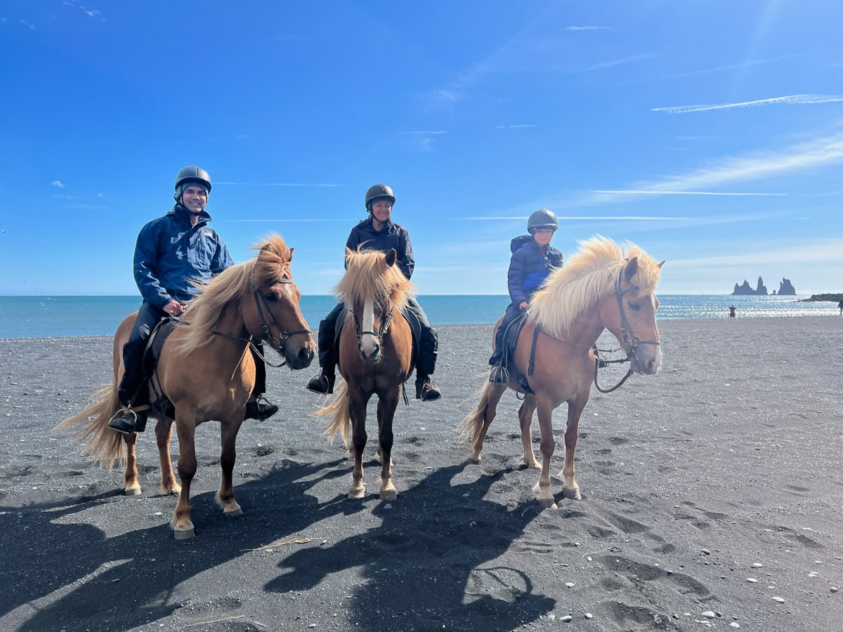 vik horse tour