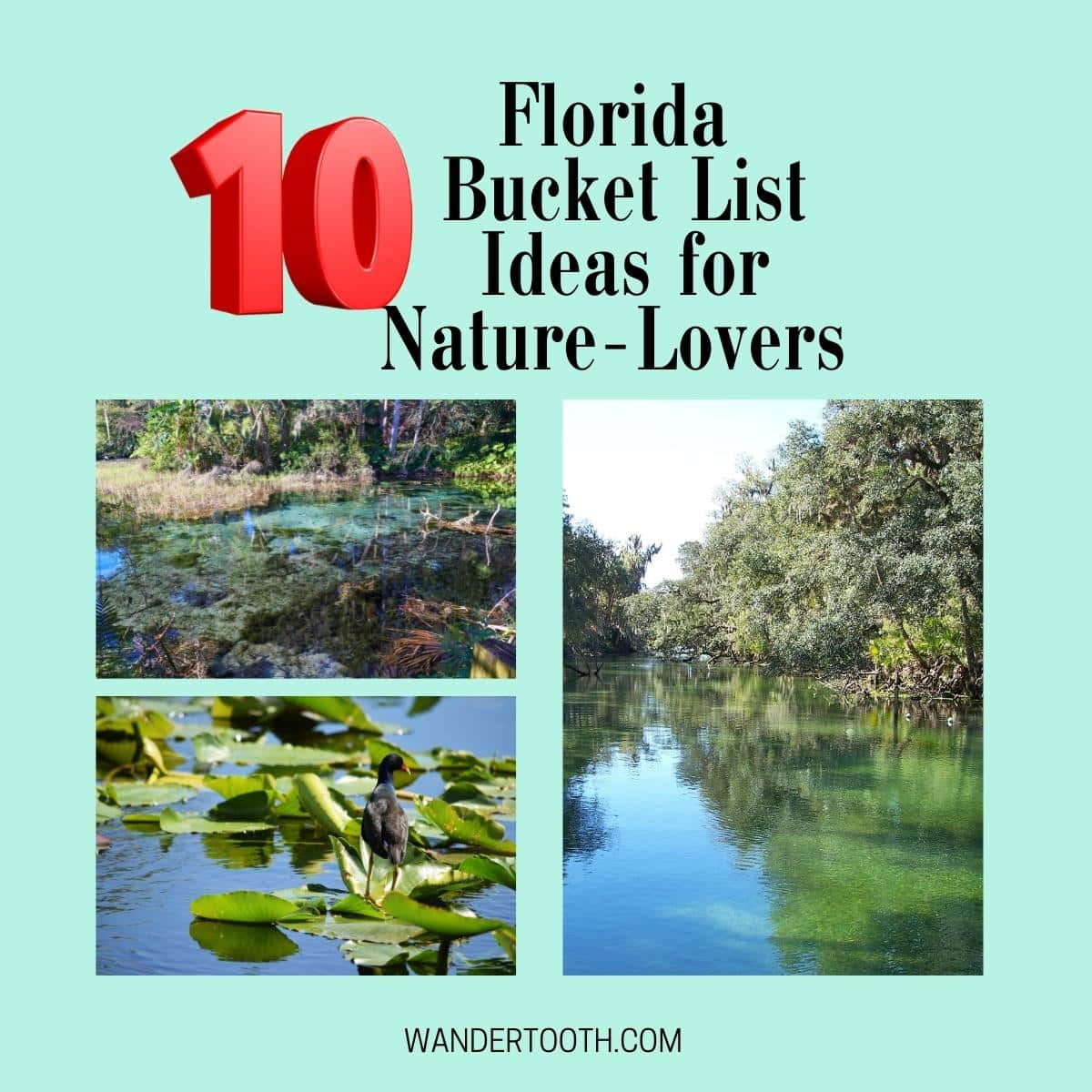 10-florida-bucket-list-ideas-for-nature-lovers-wandertooth-travel