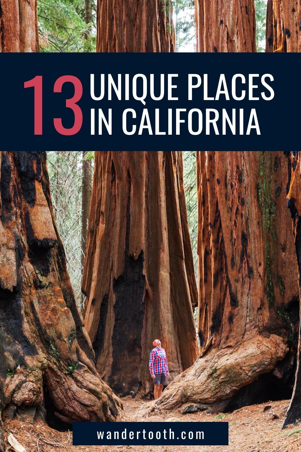 13 Unique Places In California You Need To See To Believe - Wandertooth ...